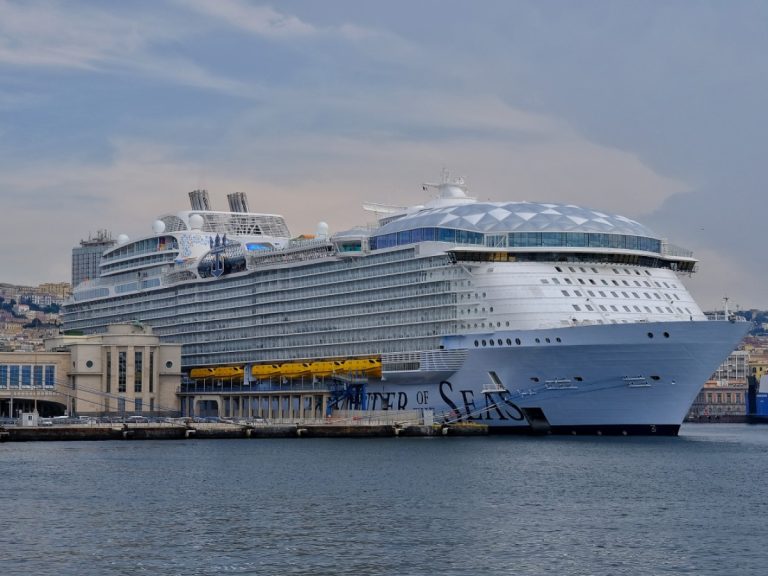 The CDC established the vessel sanitation program alongside the cruise ship industry