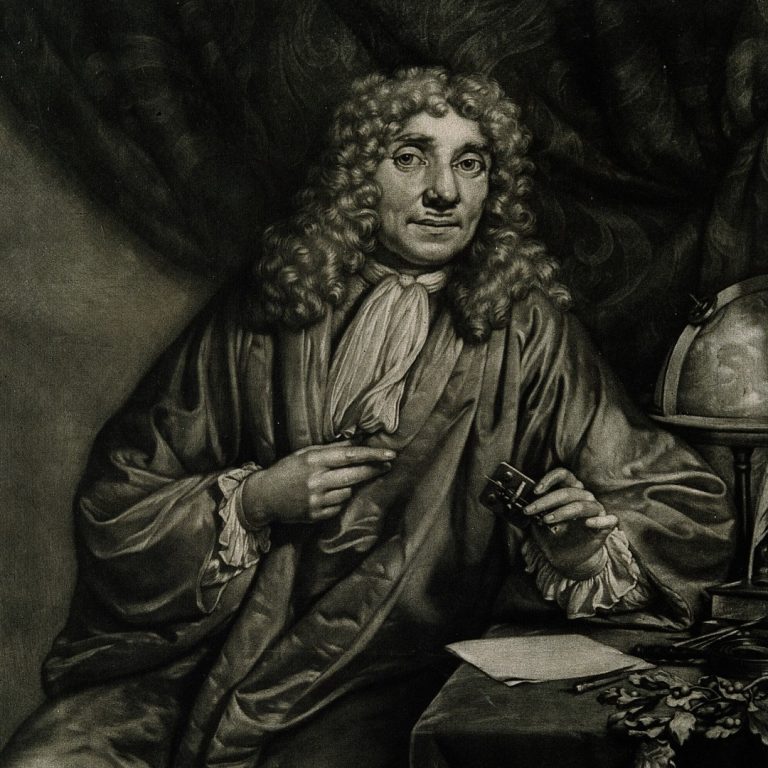 Antonie van Leeuwenhoek reported microscopic observations on mold, parts of a bee, and parts of a louse