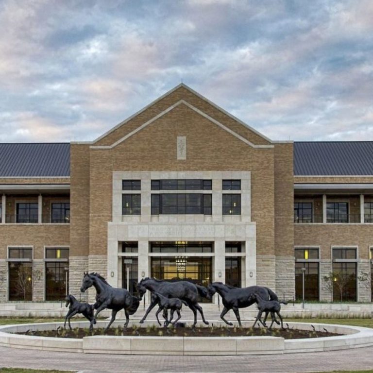 The College of Veterinary Medicine and Biomedical Sciences at Texas A&M was founded