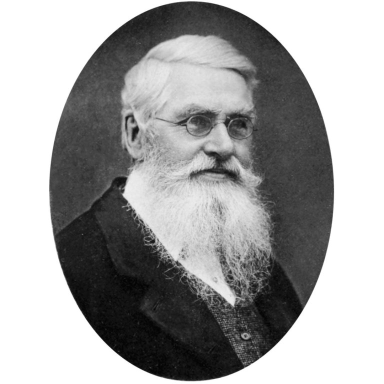 Charles Darwin and Alfred Wallace announced co-discovery to Linnean Society