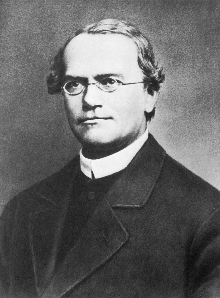 The science of genetics was born when Mendel’s work was rediscovered by three scientists