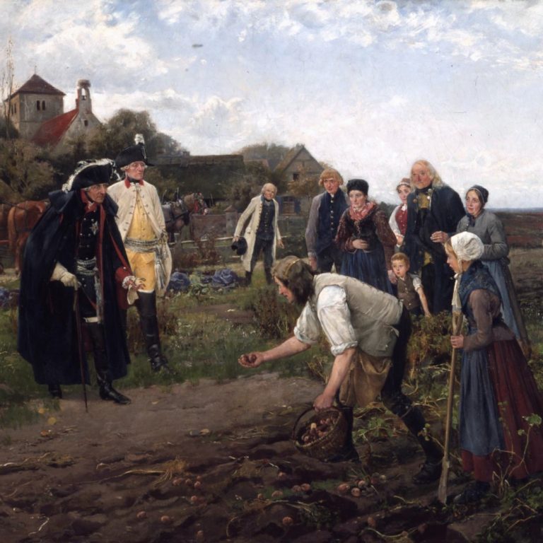 Potatoes from Peru were planted in Germany