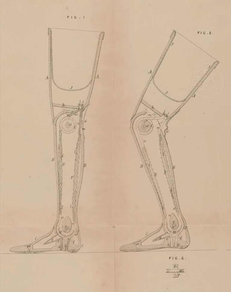 The ‘Hanger Limb’ received a U.S. patent