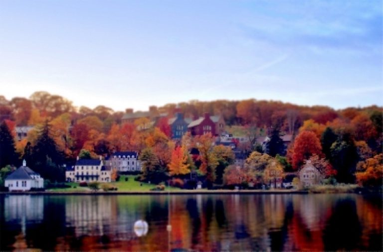 CSHL received $50 million to establish Simons Center for Quantitative Biology