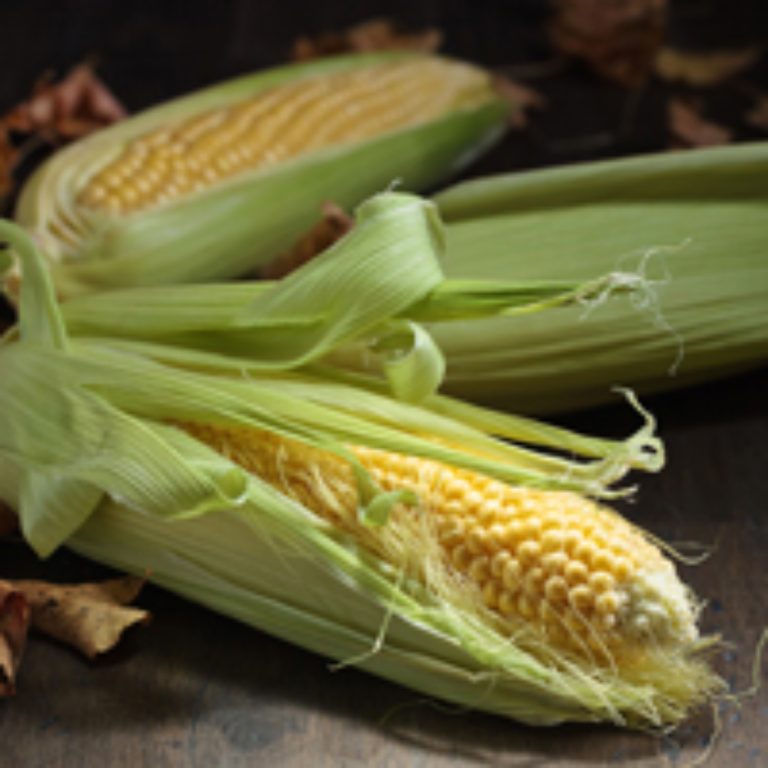 Alliance formed between Roswell Garst and Henry Wallace to develop and promote hybrid seed corn