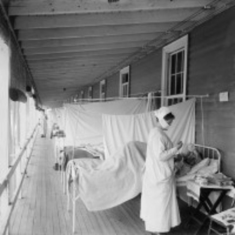 The influenza epidemic arrived in New Orleansﾠ