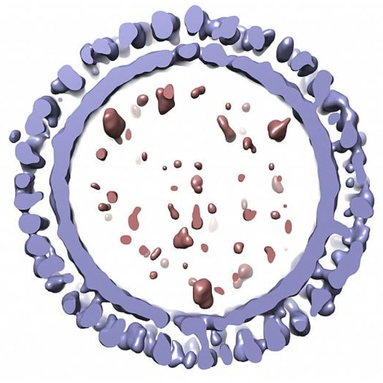 Omaha reported its first influenza outbreak in the region