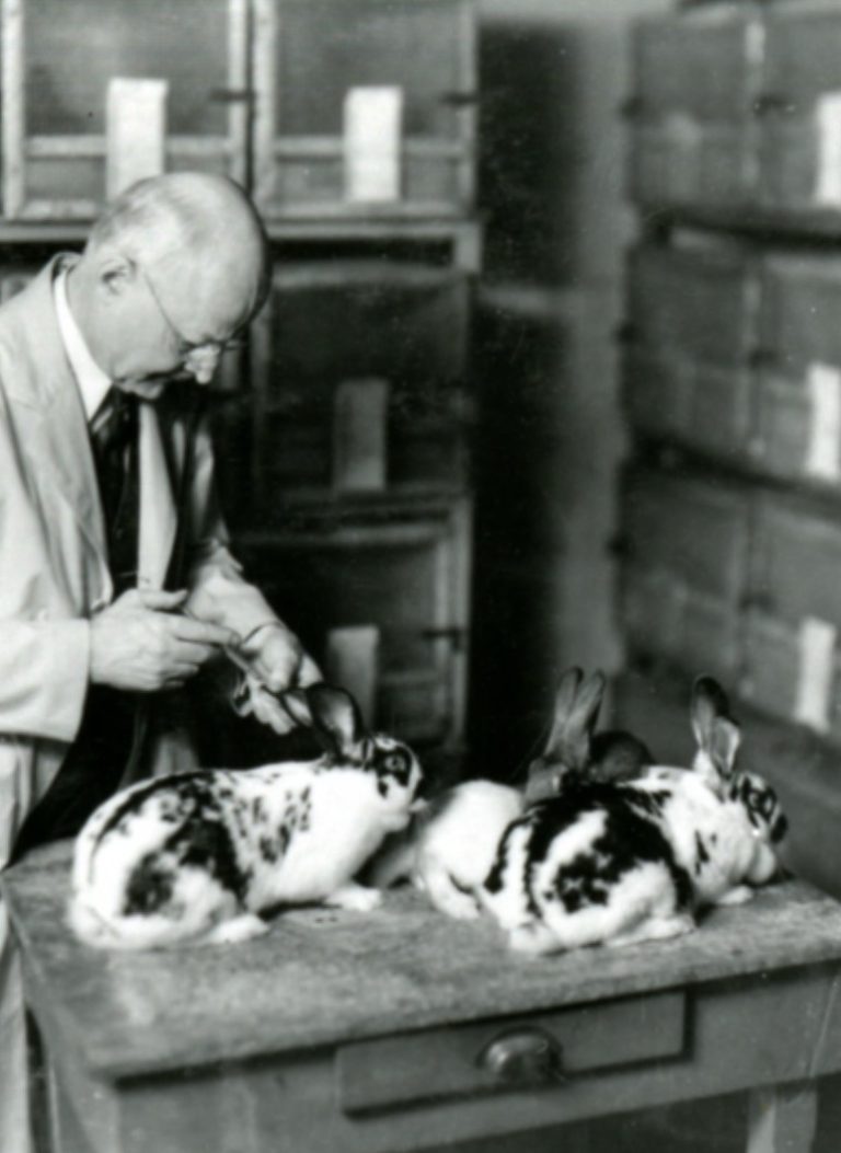 Edward Francis extended the earlier observations on tularemia