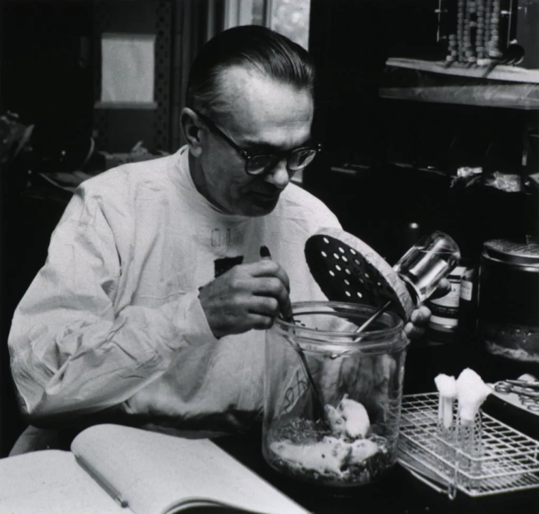 Karl Habel cultivated mumps virus in embryonated eggs and devised serological tests for its presence