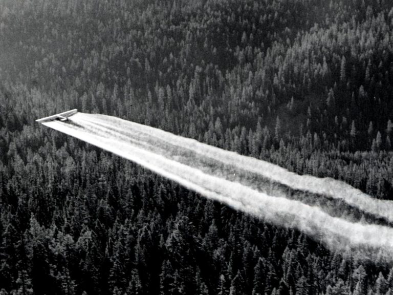 The U.S. Environmental Protection Agency banned DDT