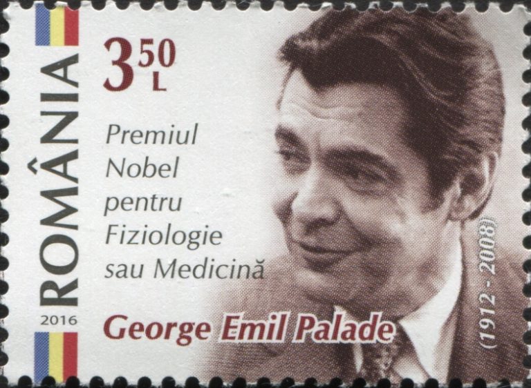 George E. Palade was awarded Nobel Prize in Physiology or Medicine