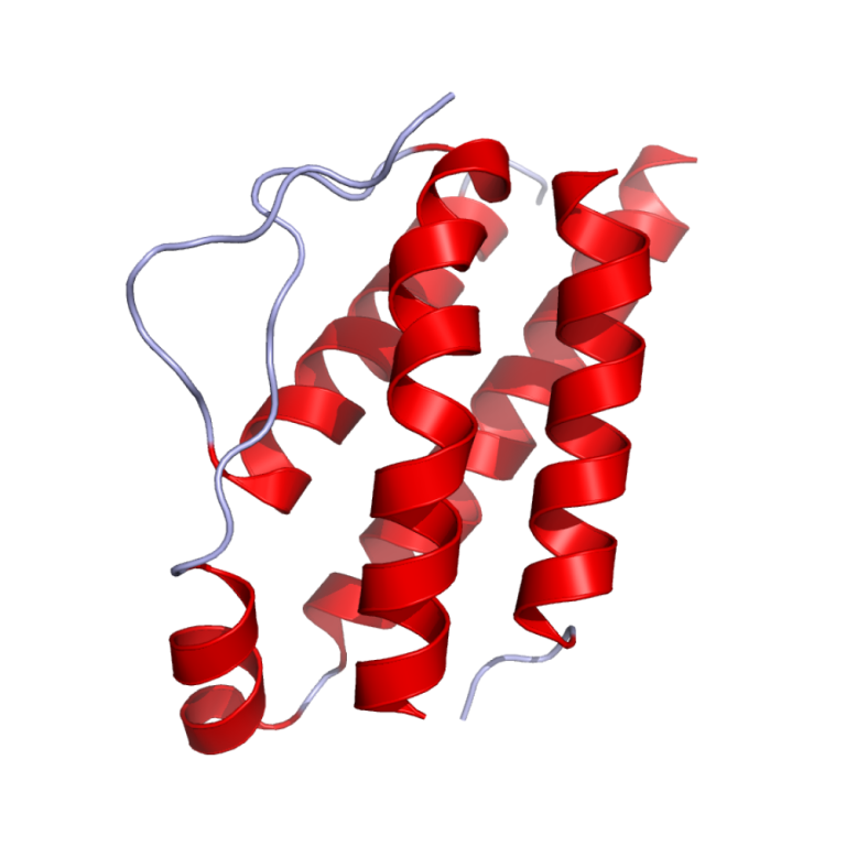 Interleukin-2 was discovered