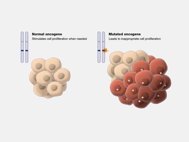 The first of some 50 now known human proto-oncogenes were discovered (c-src)