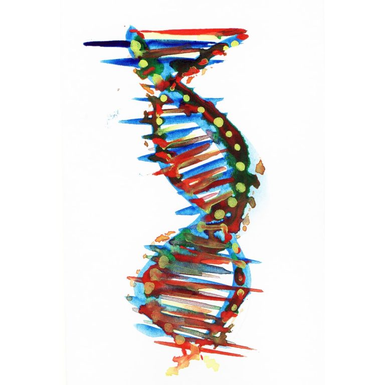 Lawrence Livermore became a National Laboratory researchers published their solution to chromosome painting