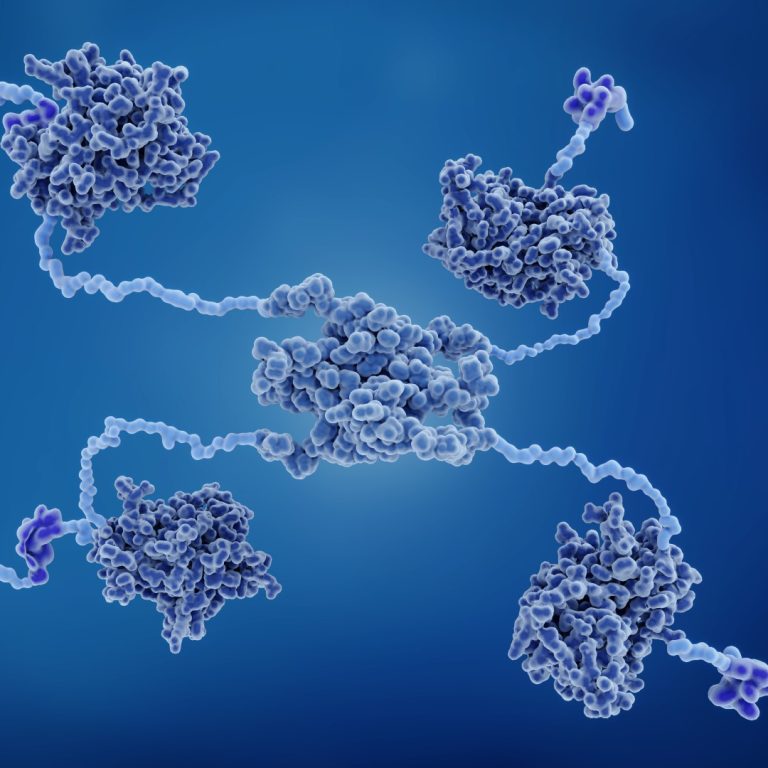 The human p53 gene was cloned