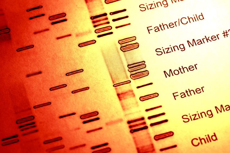 DNA fingerprinting discovered at University of Leicester first used to resolve disputed immigration