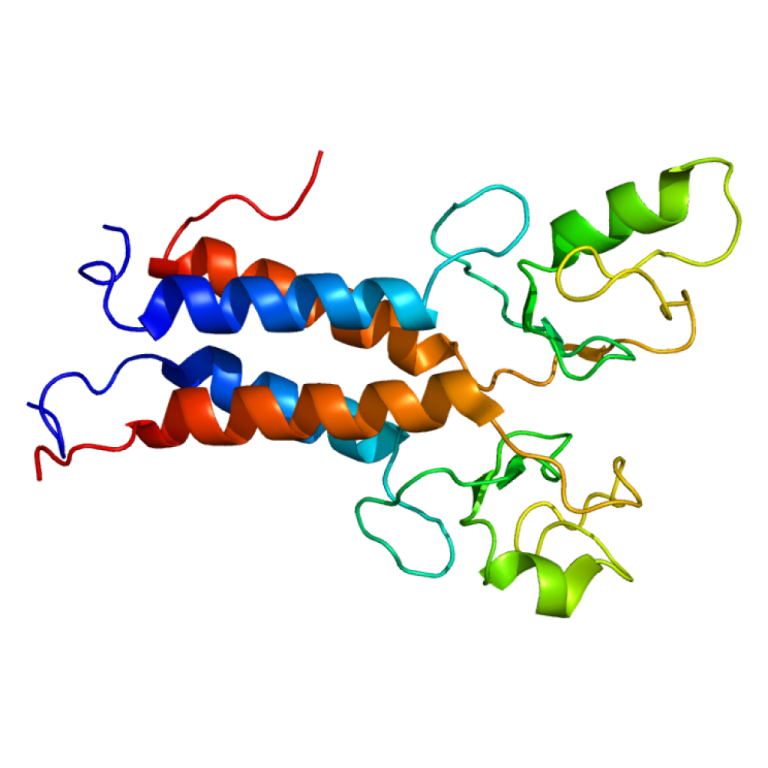 Geneticist Mary-Claire King discovered BRCA1, the first gene for a hereditary form of breast cancer.