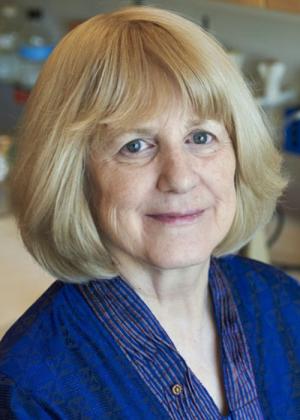Geneticist Mary-Claire King discovered BRCA1, the first gene for a hereditary form of breast cancer.