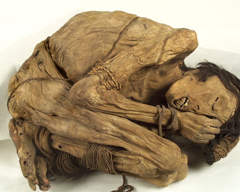 DNA of tuberculosis was isolated from 1,000 Year Old Peruvian mummy