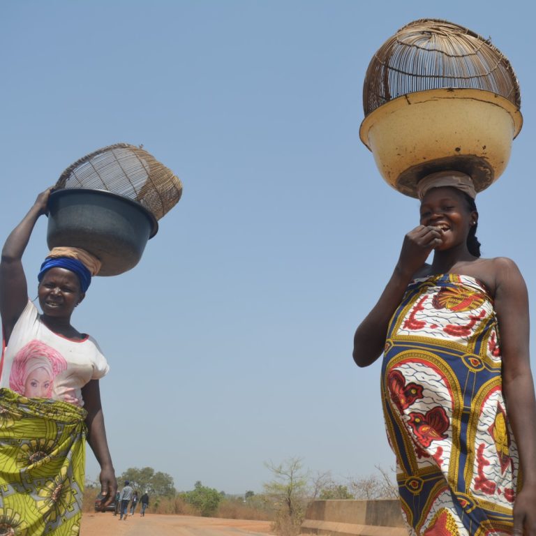 NIHs Study found lower concentration of PrEP drug in young women during pregnancy than postpartum