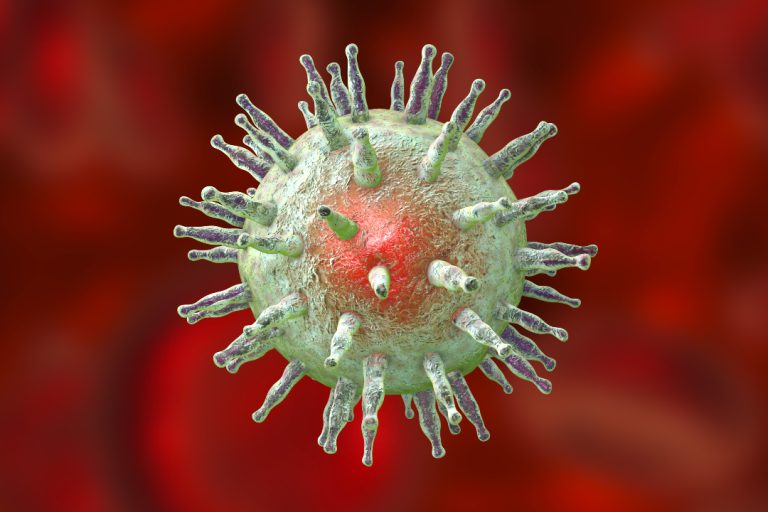 A virus (the Epstein-Barr virus) was linked to human cancer (Burkitt lymphoma) for the first time