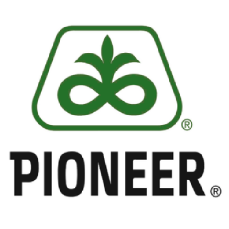 Pioneer Hi-Bred International endowed Maize Breeding Chair at Iowa State University