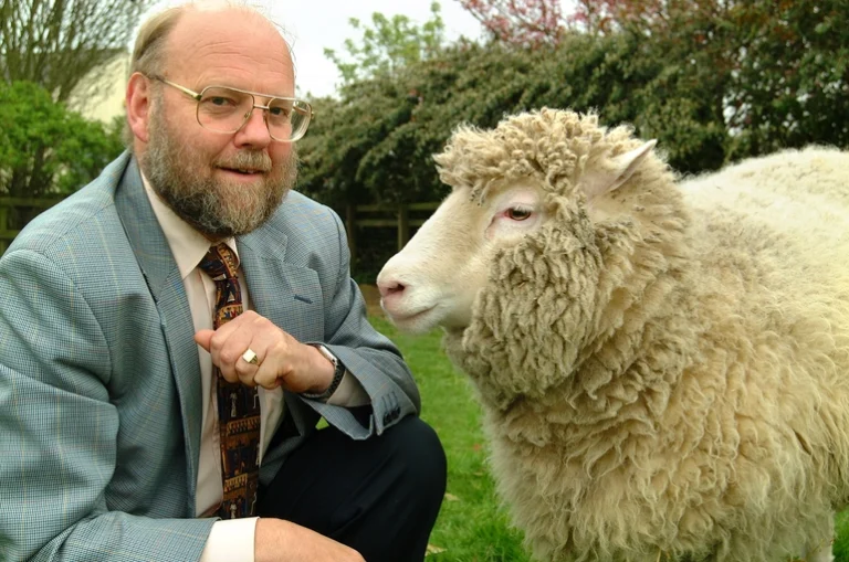 Dolly, a female domestic sheep that became the first mammal to be cloned, was euthanised in Scotland