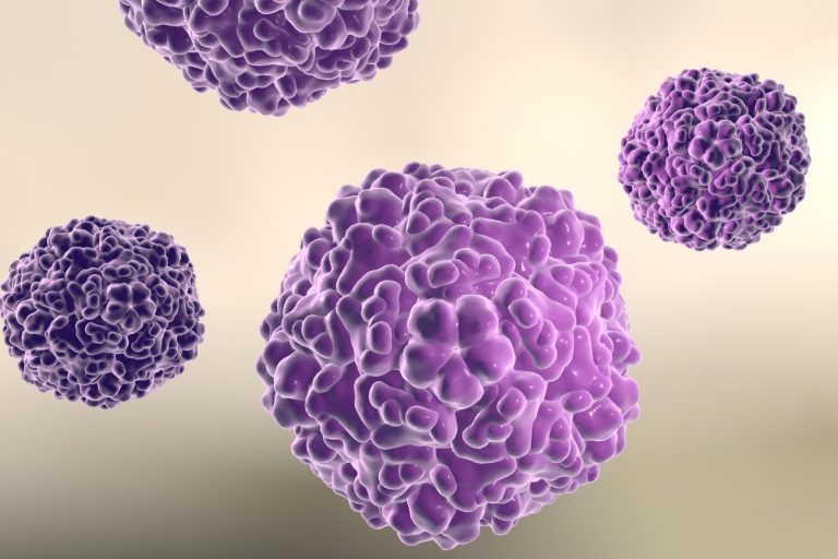 World Health Organization reported enterovirus infections in France