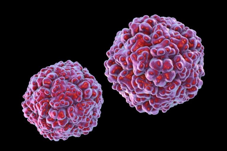 Intravacc received US NIH/NIAID contract to develop Enterovirus D68 Vaccine