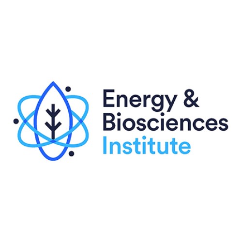 BP Energy Biosciences Institute was established