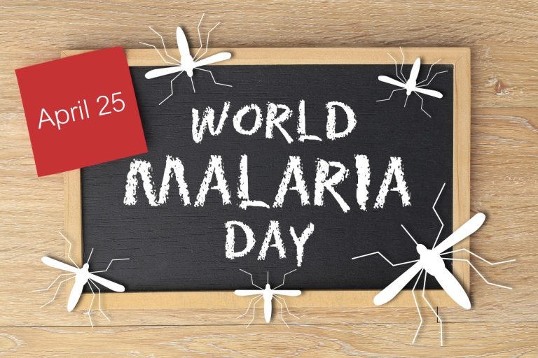 World Malaria Day established by the United Nations