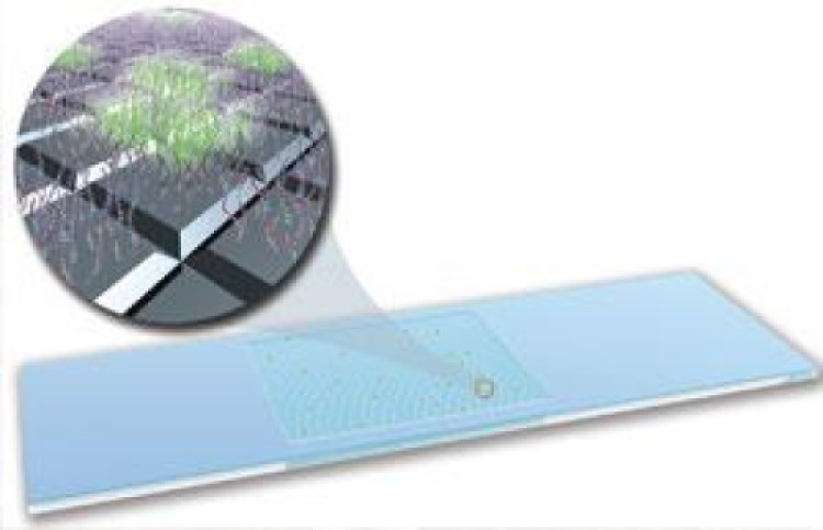 Lawrence Livermore National Laboratory announced Lawrence Livermore Microbial Detection Array