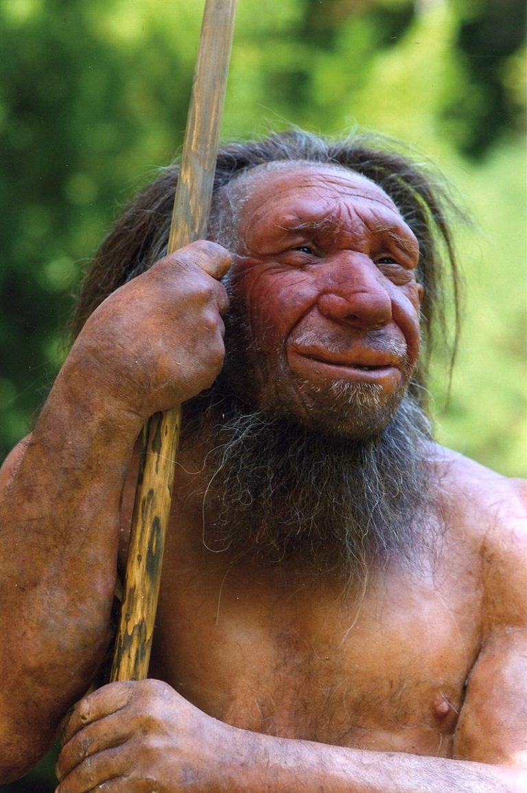 The genome of our closest relative, the Neandertal, was sequenced