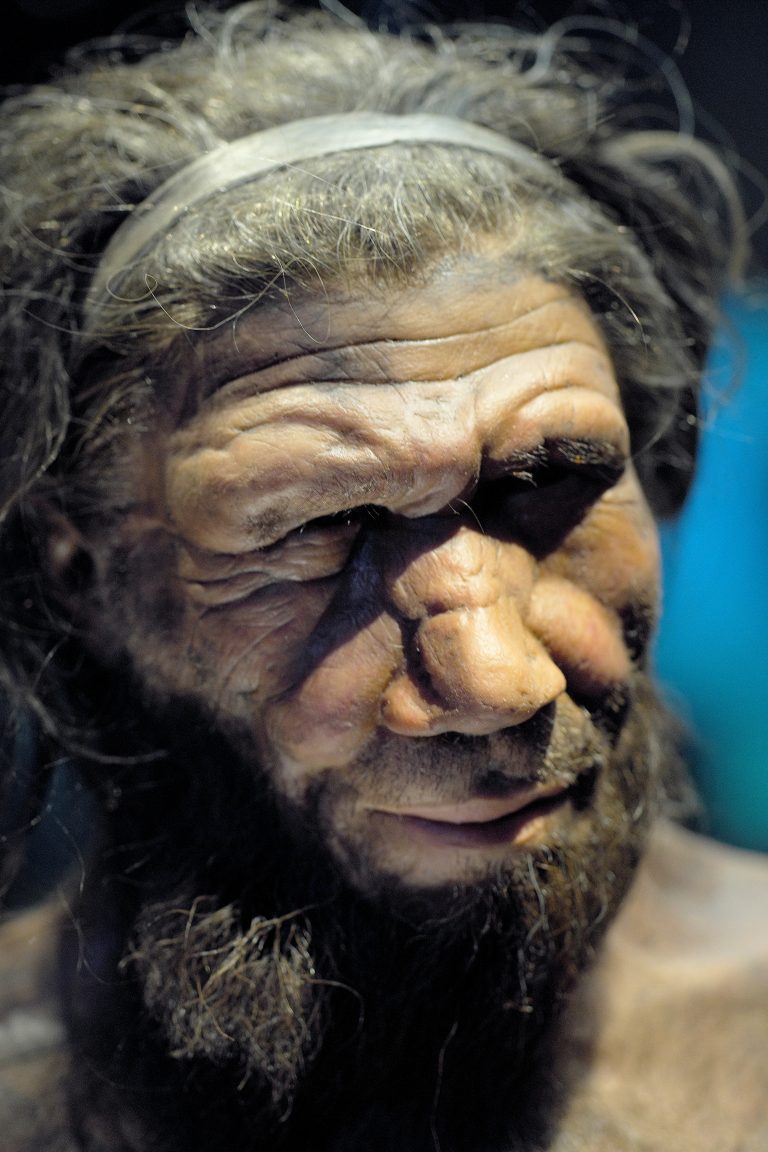 most ancient human genome discovered has been sequenced, a Denisovan