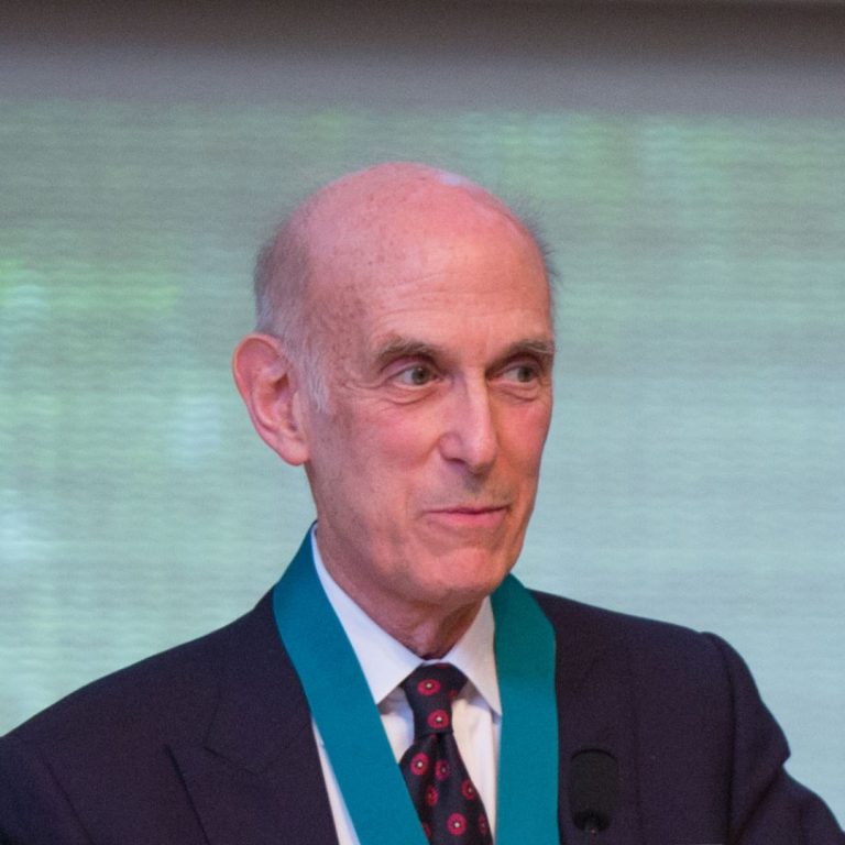 The Priestley Medal was awarded to Stephen J. Lippard