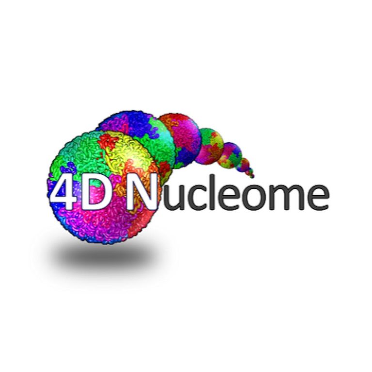 The 4D nucleome project was started