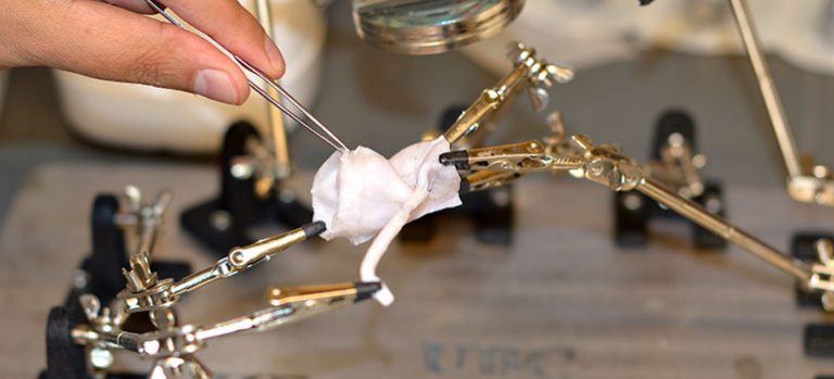 University of British Columbia scientists developed synthetic heart valves