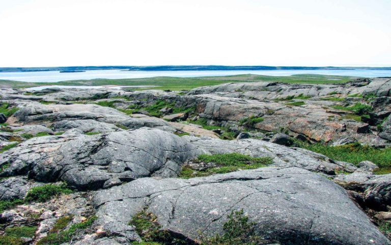 Scientists discovered the oldest evidence of life on Earth in fossils located in the Nuvvuagittuq belt in Quebec