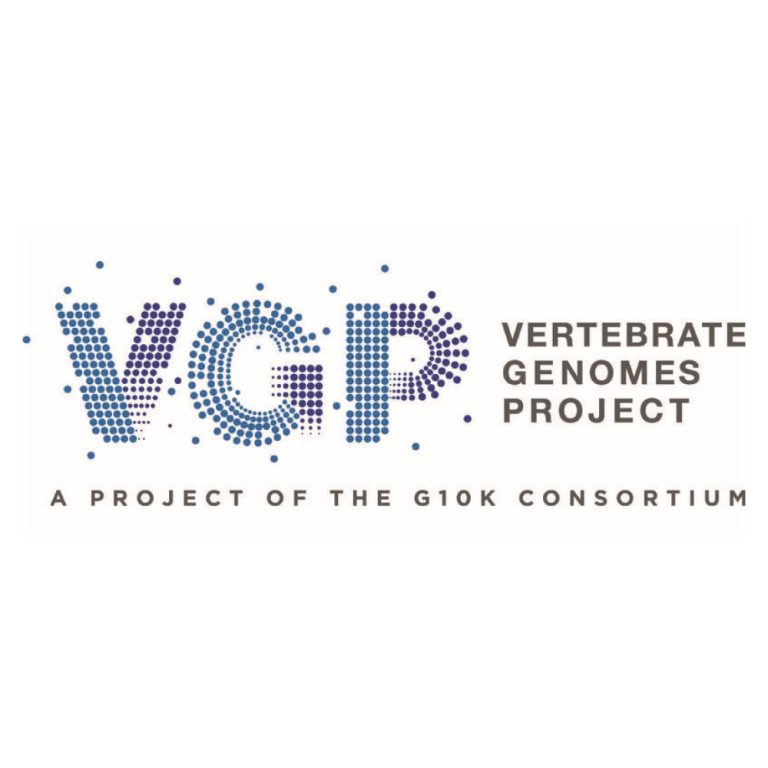 International Vertebrate Genomes Project launched with first 15 high-quality reference genomes