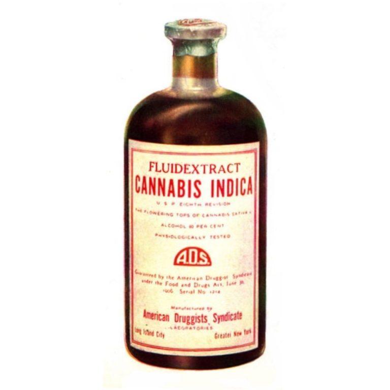 The first cannabinoid receptor was documented