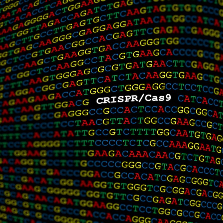 European Commission approved first CRISPR/Cas9 gene-edited therapy, CASGEVY for reatment of SCD and TDT