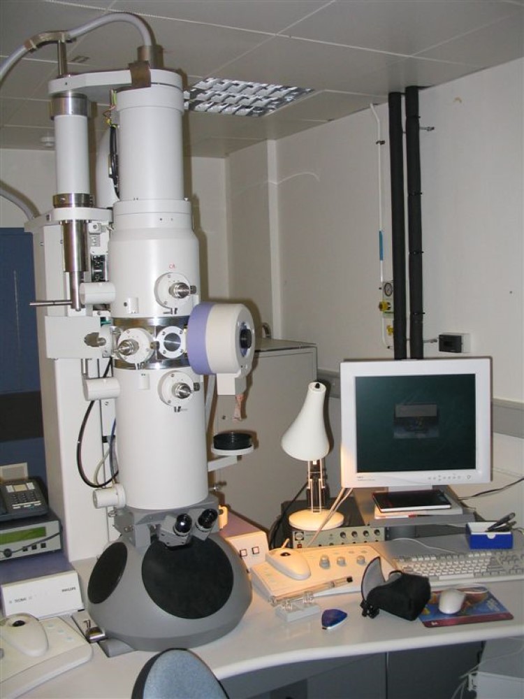 Sanford Burnham Prebys scientists developed a machine-learning algorithm that gleans information from microscope images