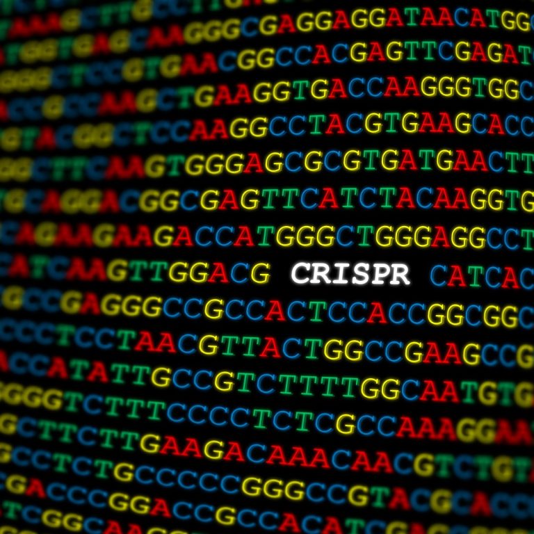 Mammoth Biosciences secured contract from NIH to scale high-throughput CRISPR SARS-CoV-2 diagnostic platform