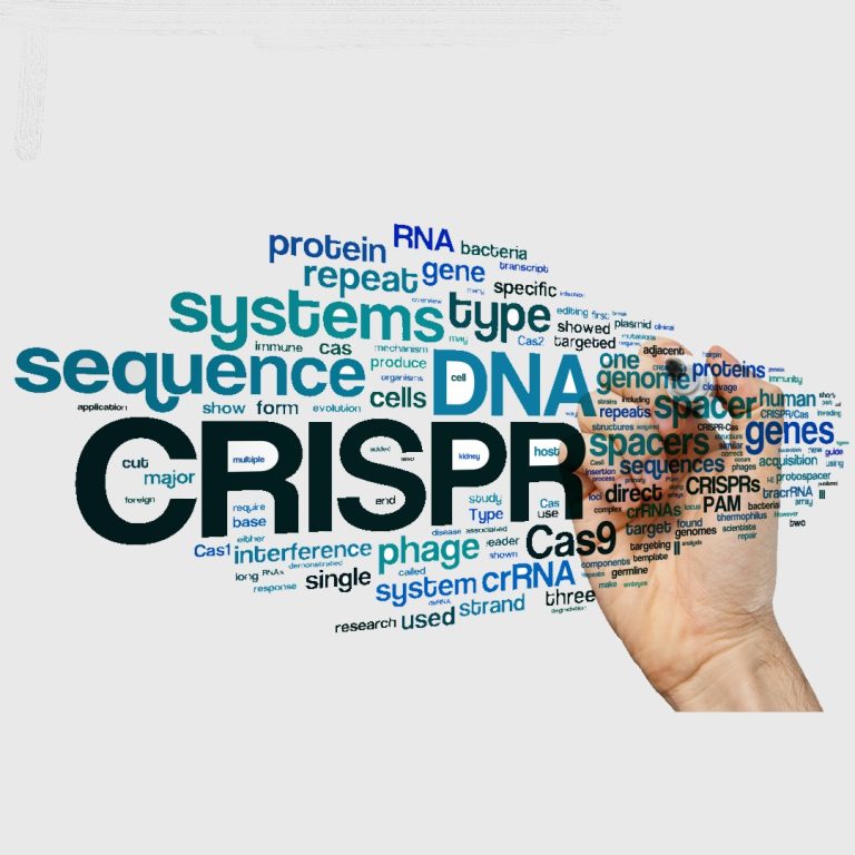 New CRISPR Lab for Genomic Research at UCSF and UC Berkeley in collaboratation with GlaxoSmithKline