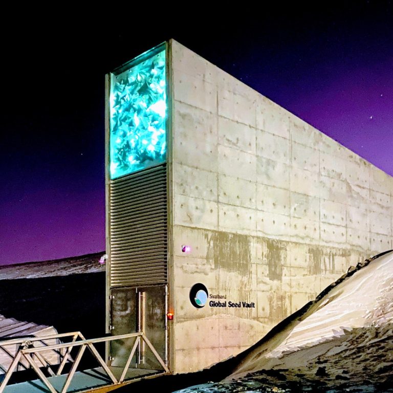 The first withdrawl from the Svalbard Global Seed Vault was required due to Syrian War