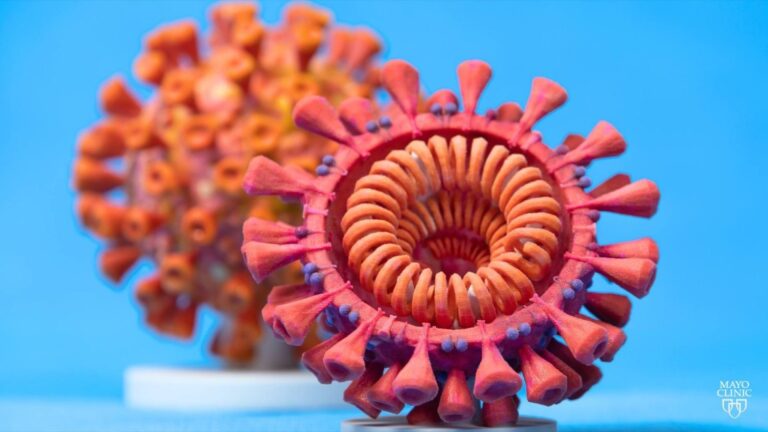 Mayo’s 3D Anatomic Modeling Lab printed model of virus that causes COVID-19