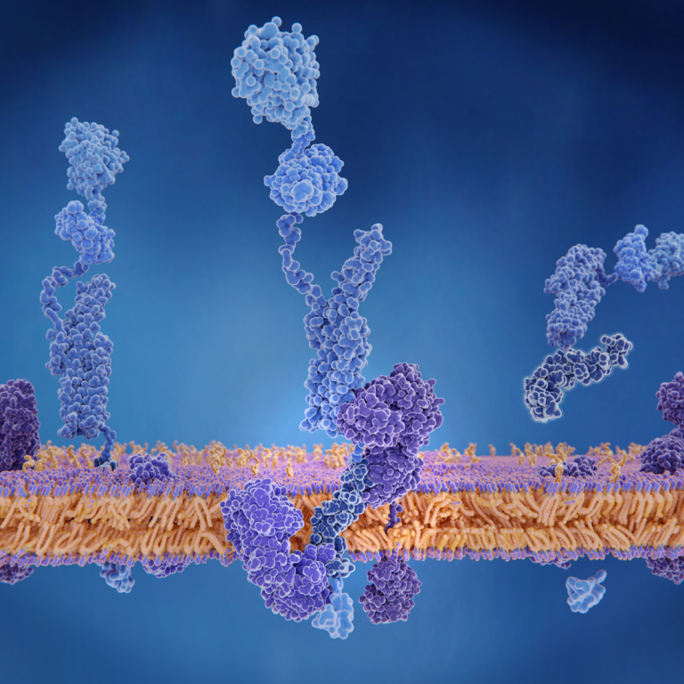 Cell by cell, scientists building a high-resolution map of brain changes in Alzheimer’s disease