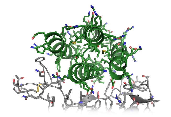 Citizen scientists helped researchers design new drugs to combat COVID-19