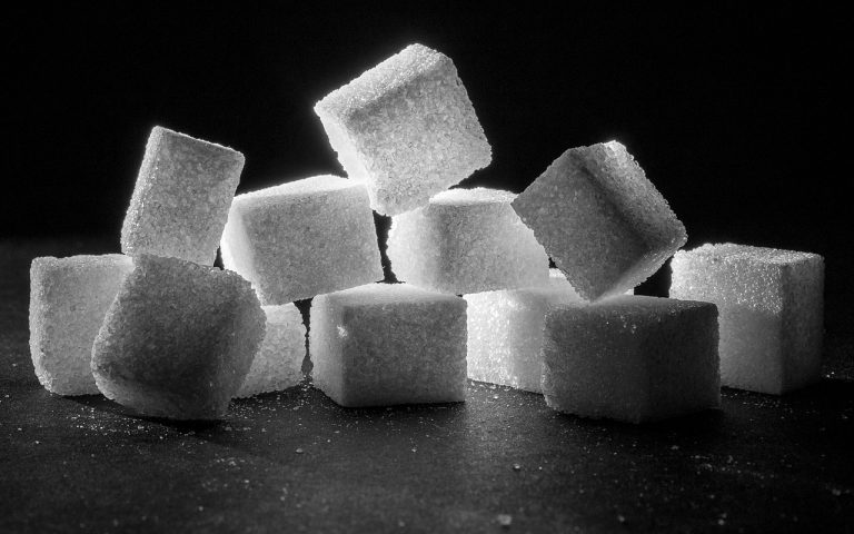 A gut-to-brain circuit drives sugar preference and may explain sugar cravings