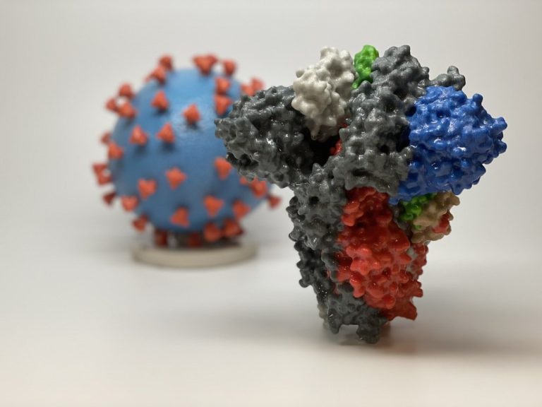 Mayo’s 3D Anatomic Modeling Lab printed model of virus that causes COVID-19